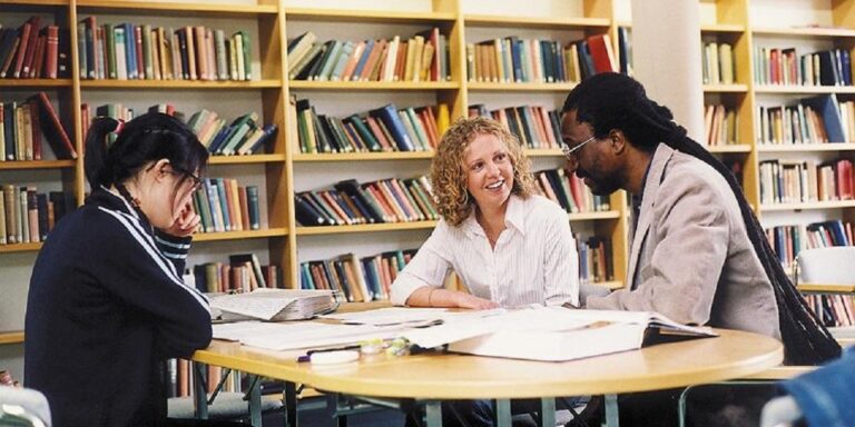 Dissertation company image